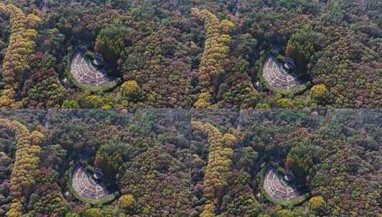 江苏南京中山陵灵山风景区音乐台秋色航拍高清在线视频素材下载