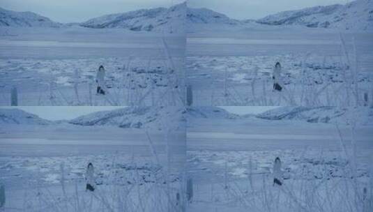 女人在被冰雪覆盖的湖泊旁眺望远方高清在线视频素材下载
