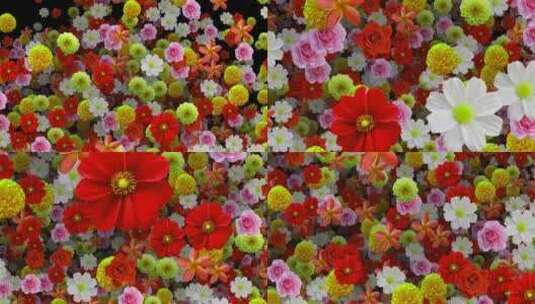 彩色花卉背景高清在线视频素材下载