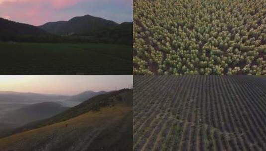 一男一女的空中蒙太奇旅行镜头高清在线视频素材下载