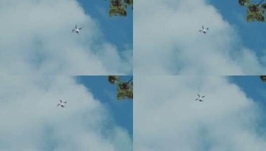 仰拍无人机在天空飞行高清在线视频素材下载