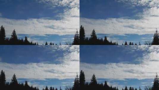 仰拍蓝天下的白云和树木高清在线视频素材下载