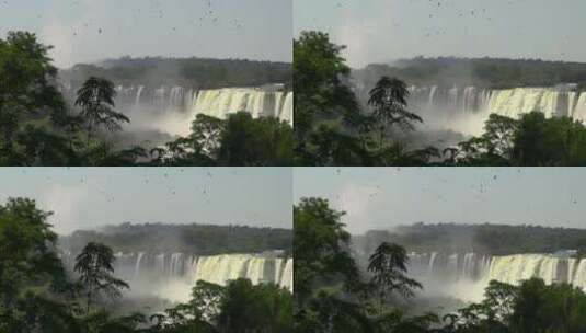 瀑布上空盘旋的鸟群高清在线视频素材下载