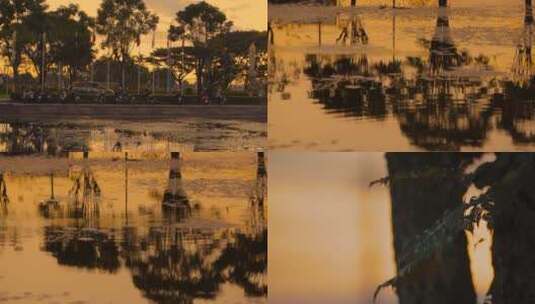 夕阳黄昏视频泰国夕阳下的池塘倒影高清在线视频素材下载