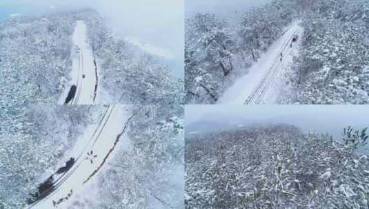 森林雪景高清在线视频素材下载