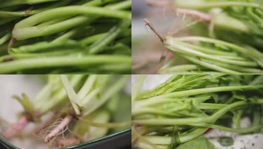【镜头合集】新鲜蔬菜时蔬菠菜健康高清在线视频素材下载
