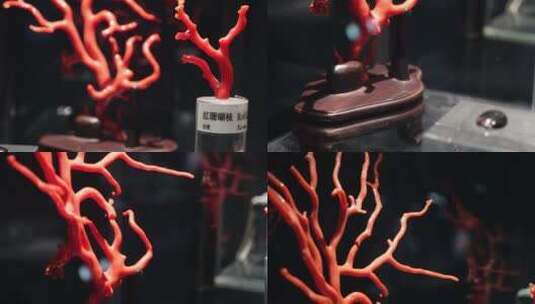 【镜头合集】红珊瑚珠宝昂贵高清在线视频素材下载