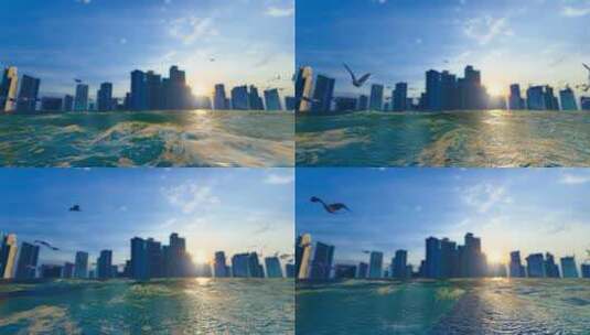 4k 海滨城市海鸥飞翔高清在线视频素材下载