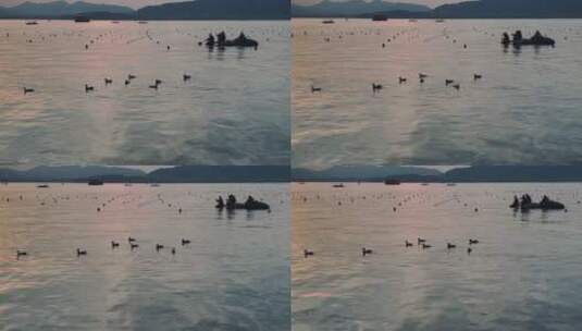 杭州西湖的傍晚高清在线视频素材下载