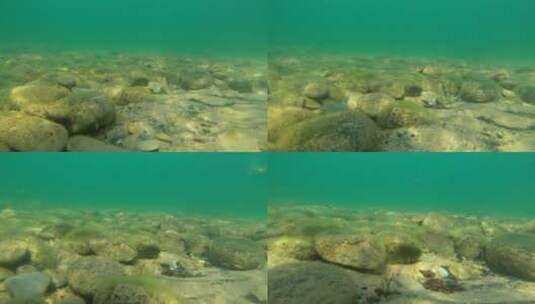 水下移动拍摄高清在线视频素材下载