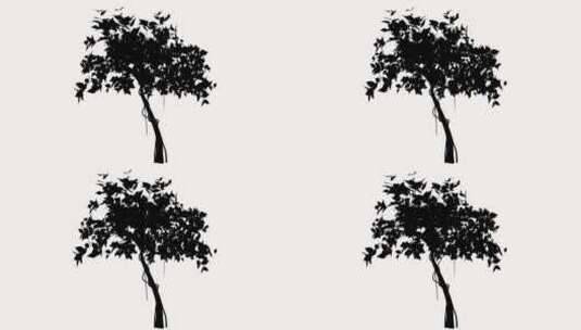 树木轮廓剪影动画效果素材8高清在线视频素材下载
