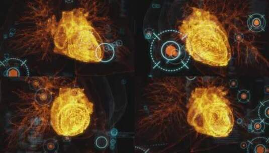 3D三维人体身体器官机能透视动画展示-心脏高清在线视频素材下载