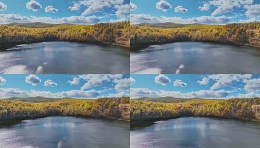 阿尔山湖泊的秋天高清在线视频素材下载