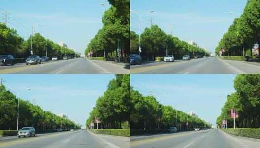 公路上两边的树木向后退去高清在线视频素材下载