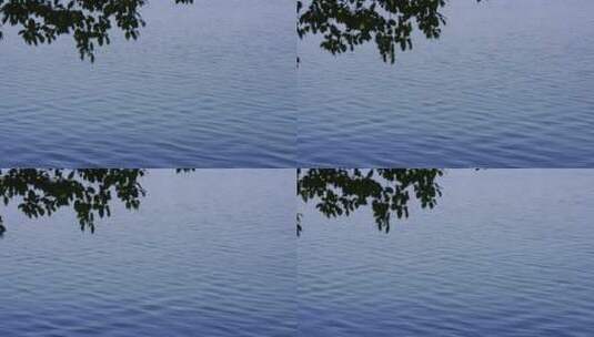 湖水波纹慢镜头高清在线视频素材下载