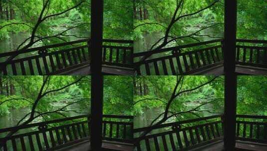 杭州虎跑下雨天绿色森林里水边的亭子幽静高清在线视频素材下载