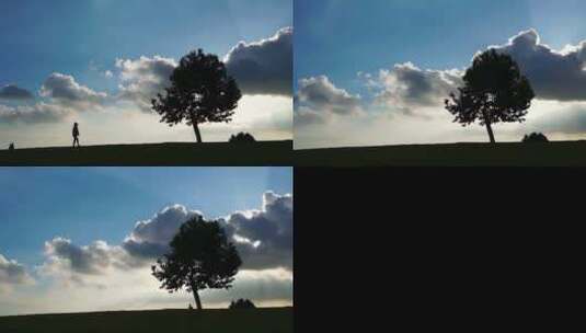延时摄影 自然风光 孤独的树高清在线视频素材下载