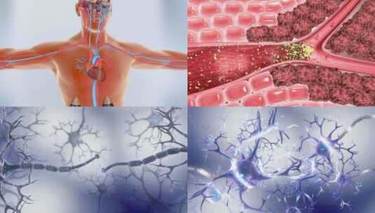 打通神经 修复血管细胞核 脑神经高清在线视频素材下载