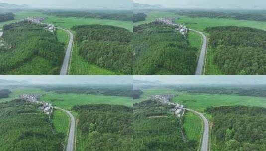 森林公路航拍乡村道路俯拍绿色山路风景风光高清在线视频素材下载