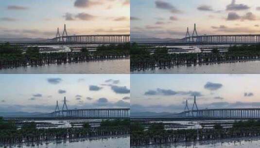 金潮大桥延时高清在线视频素材下载