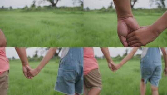 情侣互相牵手在草地上行走高清在线视频素材下载