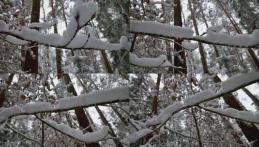 摇摄冬天树林里树枝上厚厚的积雪高清在线视频素材下载