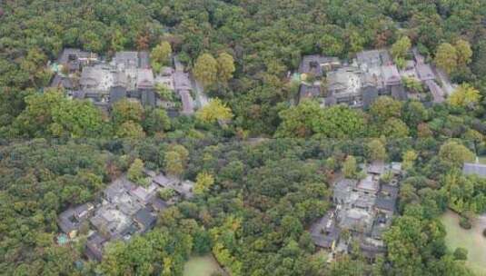 4K 航拍秋天南京钟山风景区的灵谷寺景区高清在线视频素材下载