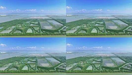 【4K】航拍广州南沙·湿地公园风景素材高清在线视频素材下载