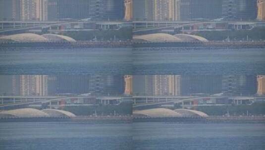 8K深圳欢乐港湾鸬鹚33高清在线视频素材下载