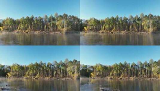 秋季森林蓝色清澈河流高清在线视频素材下载