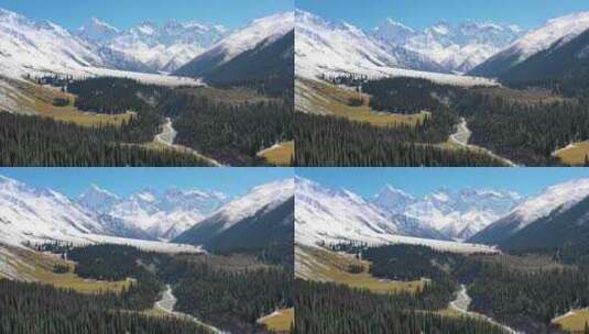 无人机拍摄的新疆草原雪山高清在线视频素材下载