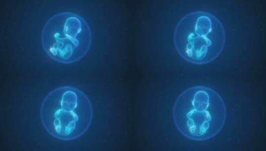 蓝色粒子胎儿发育科技婴儿生长高清在线视频素材下载