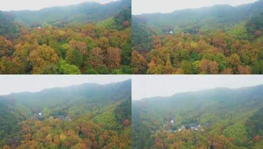 浙江湖州安吉灵峰寺灵峰度假区高清在线视频素材下载