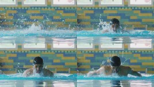 专业游泳运动员在蝴蝶式海豚中游泳，增强其高清在线视频素材下载