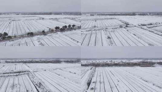 航拍农村乡镇集镇田野平原雪景高清在线视频素材下载