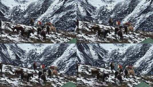 四姑娘山大峰攀登大本营休息区高清在线视频素材下载