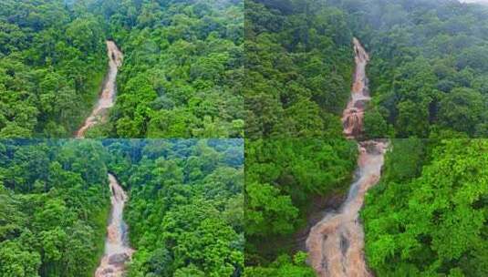 云南省普洱西盟县勐梭里坎瀑布洪水雨林航拍高清在线视频素材下载