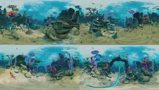 VR海底 VR360海洋 VR 全景视频高清在线视频素材下载