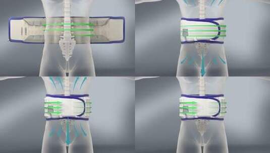 人体佩戴腰部支撑带的3D效果展示 腰带高清在线视频素材下载