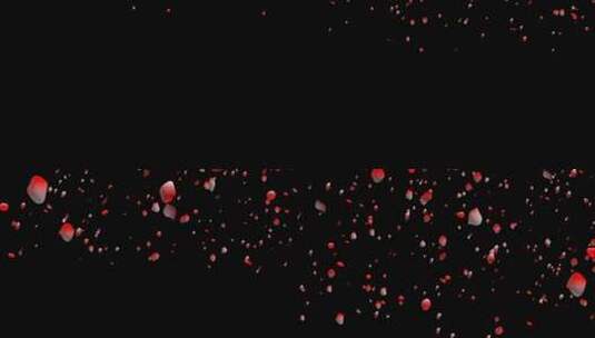 红色花瓣飘落透明通道高清AE视频素材下载