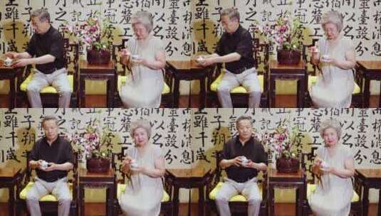 幸福的老年夫妇喝茶高清在线视频素材下载