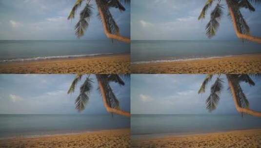 海滩上的椰子树风景高清在线视频素材下载