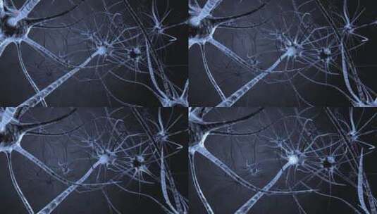 神经 人体 神经系统 毛细血管 医学高清在线视频素材下载