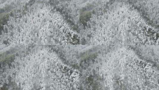 航拍南方丘陵山川森林美丽乡村雪景高清在线视频素材下载