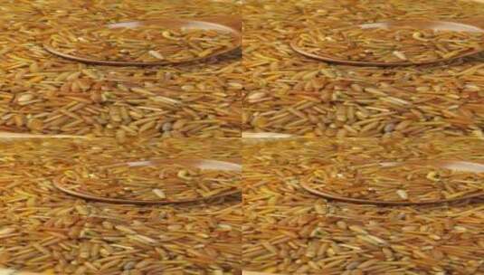 燕麦五谷杂粮4K视频高清在线视频素材下载