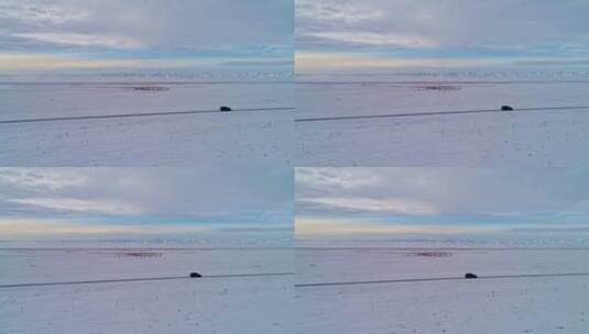 新疆冬季视频高清在线视频素材下载