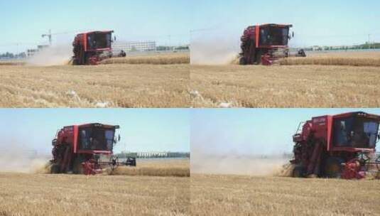 金色的麦田收割机收小麦高清在线视频素材下载