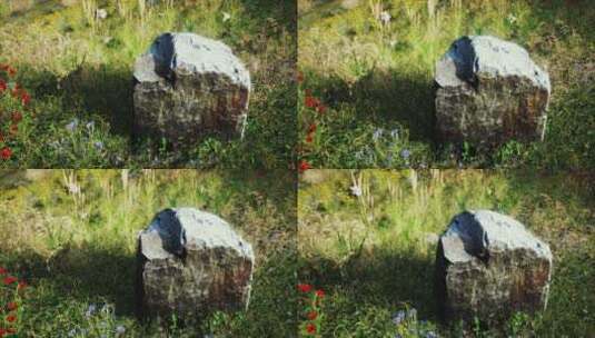 草地上的石头高清在线视频素材下载