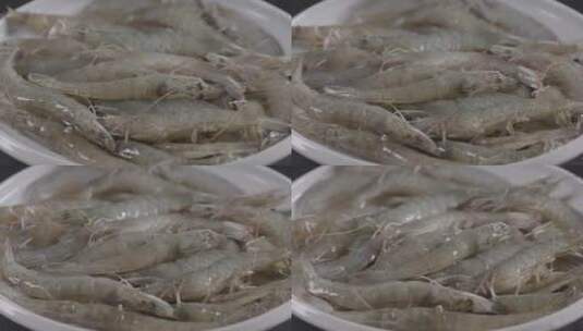 一盘子鲜活的海虾LOG高清在线视频素材下载