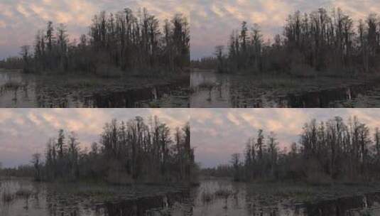 沼泽地日落景观高清在线视频素材下载